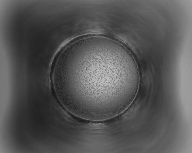 X0000099931168200805301152