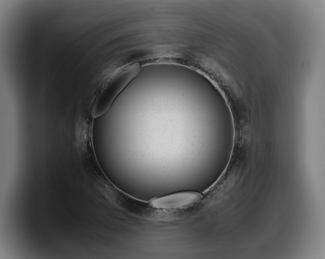 X0000099931169200805301152