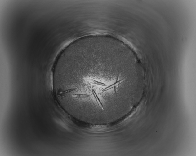 X0000099931171200805301152