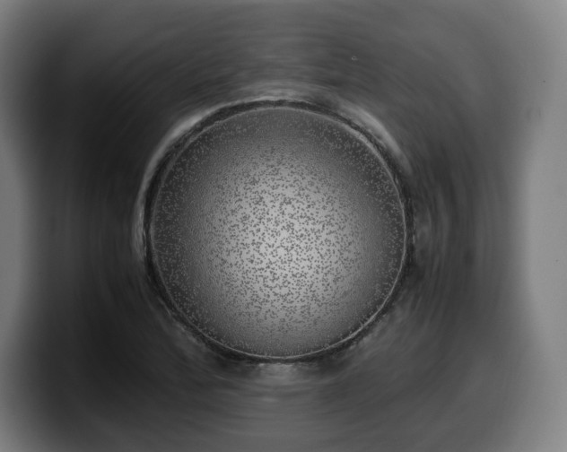 X0000099931172200805301152