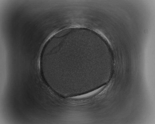 X0000099931173200805301152