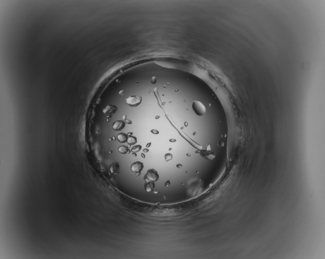 X0000099931174200805301152