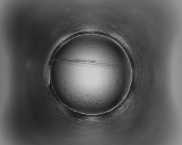 X0000099931175200805301152