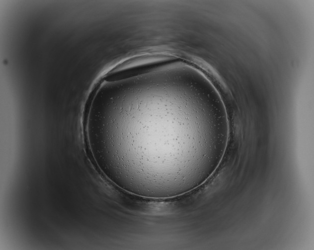 X0000099931176200805301152