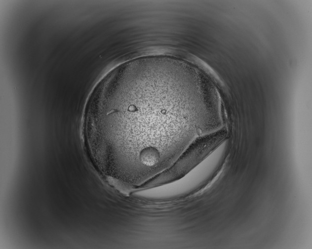 X0000099931178200805301152