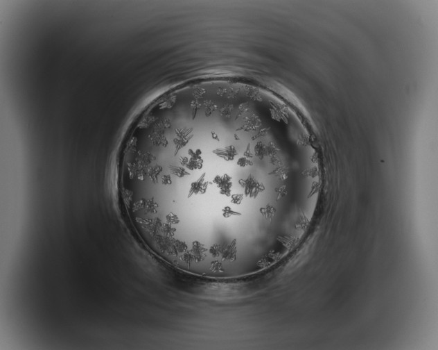 X0000099931179200805301152