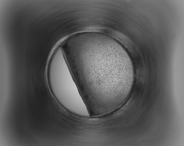 X0000099931180200805301152