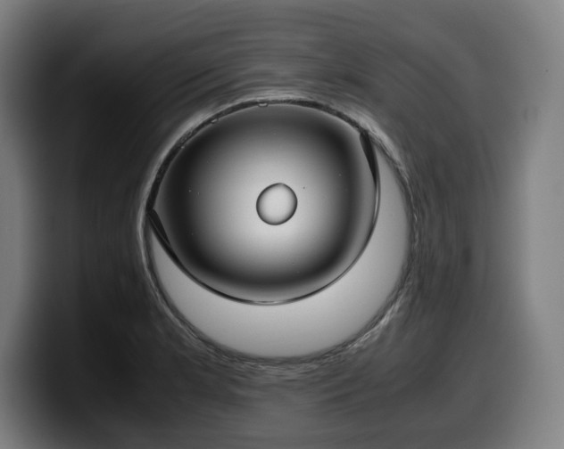 X0000099931181200805301152