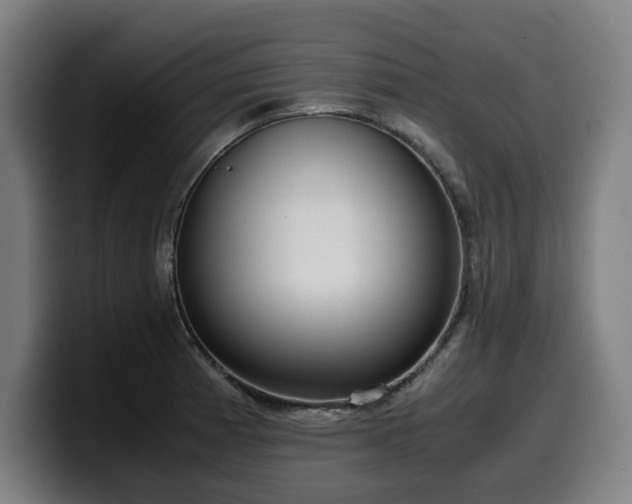 X0000099931185200805301152