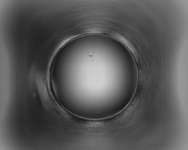 X0000099931187200805301152