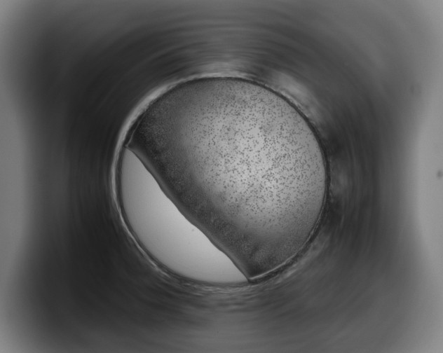 X0000099931188200805301152