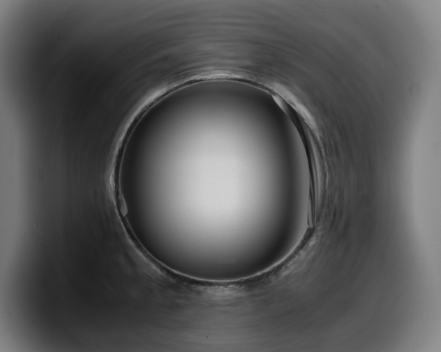 X0000099931189200805301152