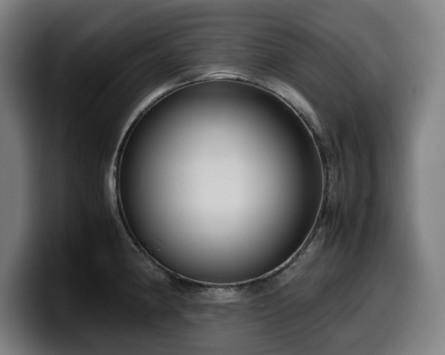 X0000099931190200805301152