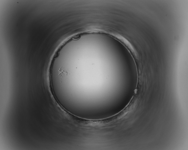 X0000099931191200805301152