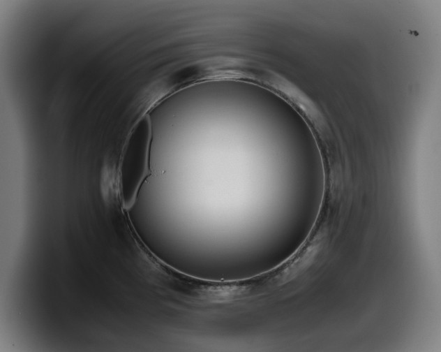 X0000099931193200805301152