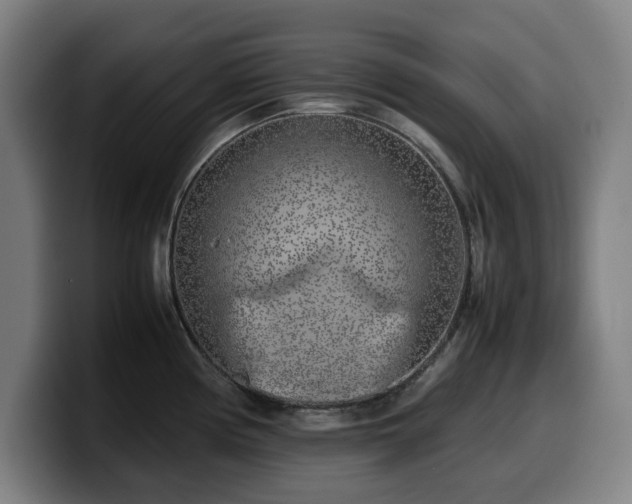 X0000099931194200805301152