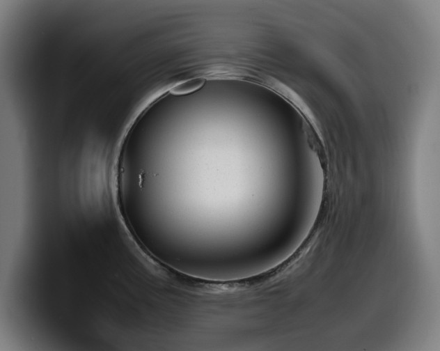 X0000099931195200805301152