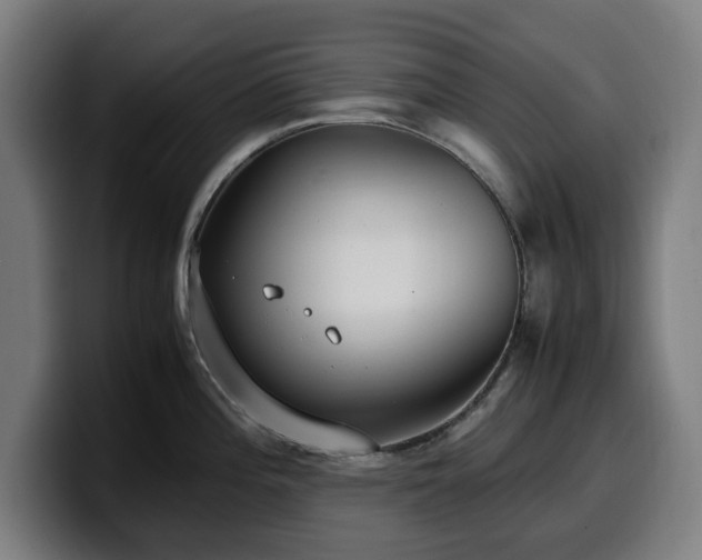 X0000099931196200805301152