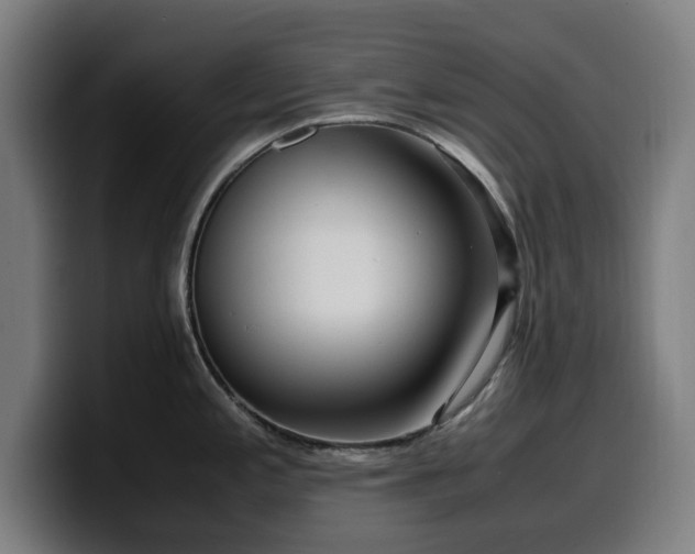 X0000099931197200805301152