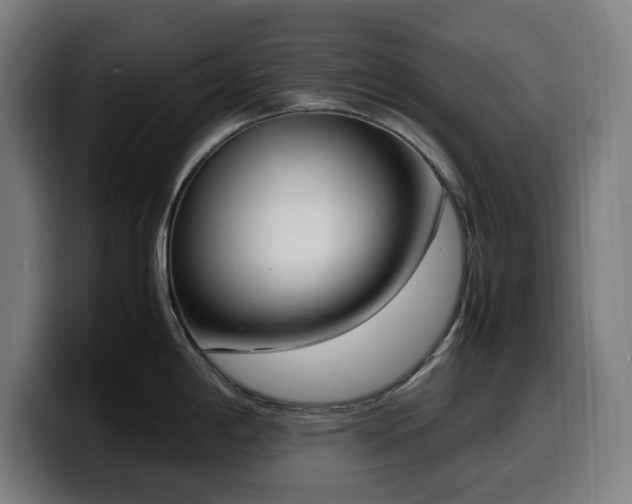 X0000099931198200805301152