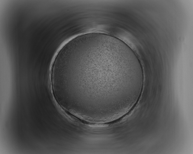 X0000099931200200805301152