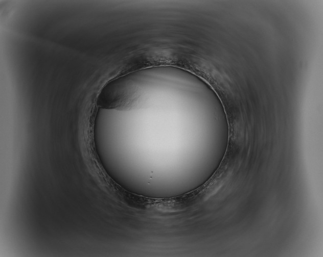 X0000099931201200805301151