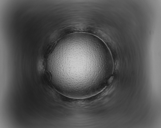 X0000099931202200805301151