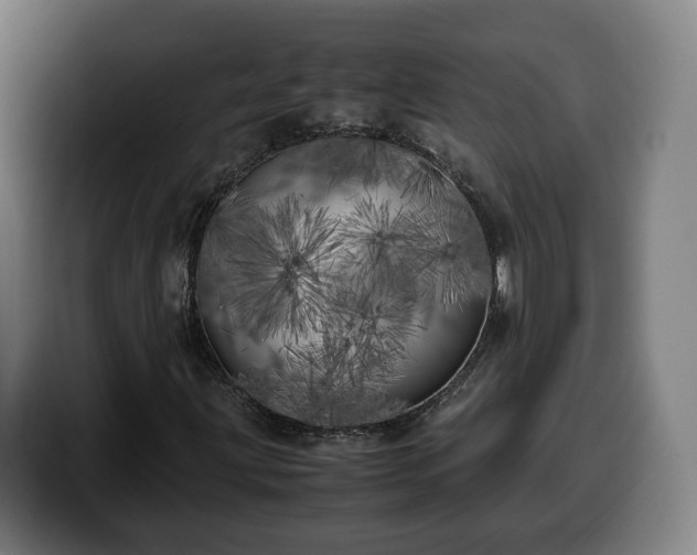 X0000099931203200805301151