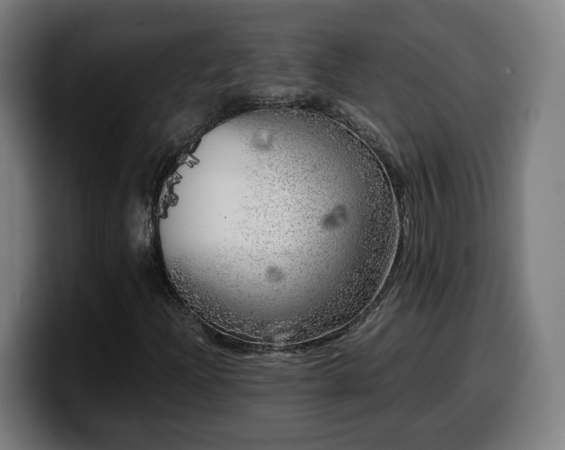 X0000099931204200805301151