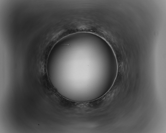 X0000099931205200805301151