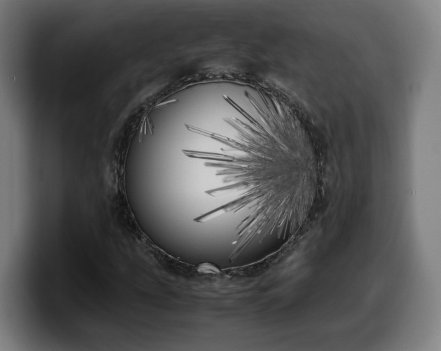 X0000099931207200805301151