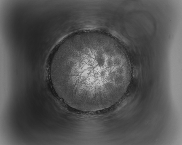 X0000099931208200805301151
