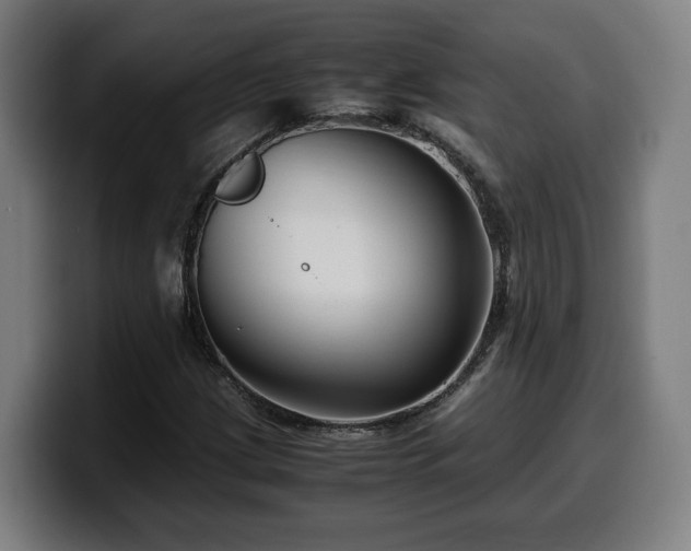 X0000099931209200805301151