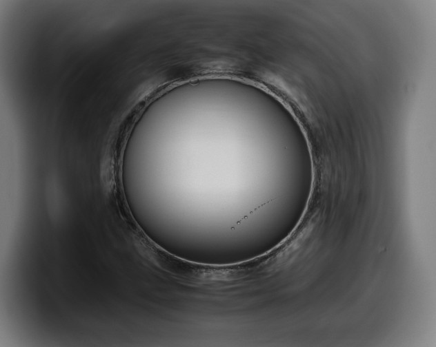 X0000099931211200805301151