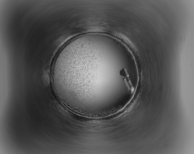 X0000099931212200805301151