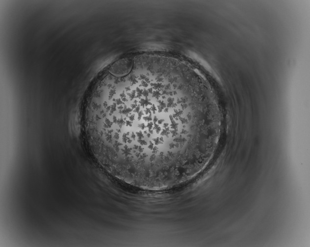 X0000099931213200805301151