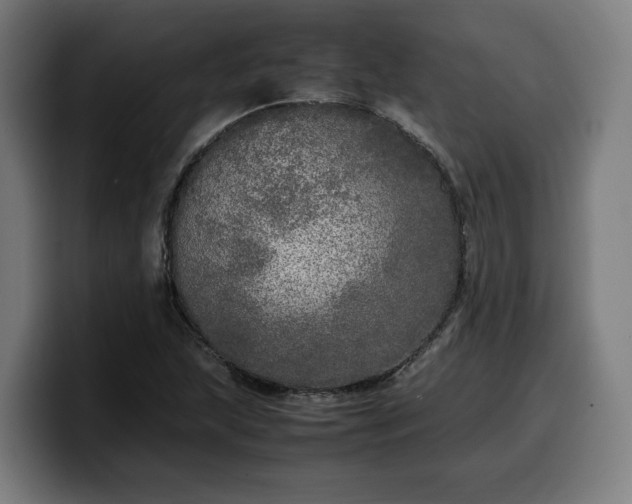 X0000099931215200805301152