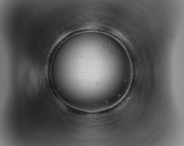 X0000099931216200805301152