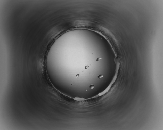 X0000099931217200805301152