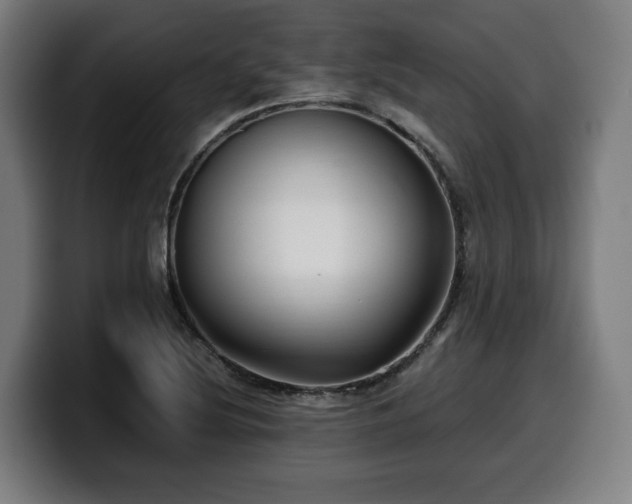 X0000099931220200805301152