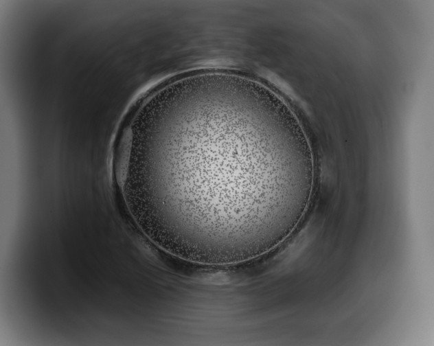 X0000099931222200805301152