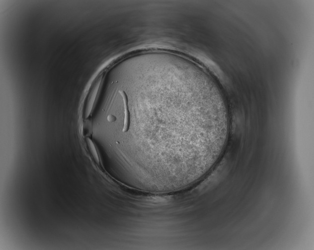 X0000099931224200805301152