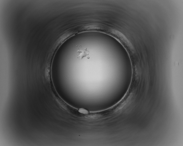 X0000099931225200805301152