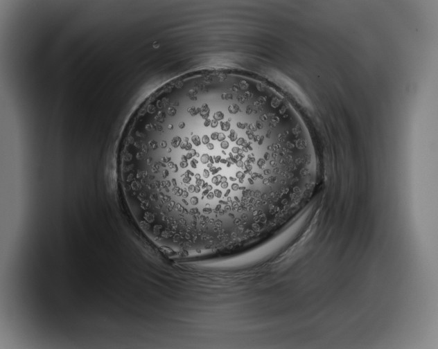 X0000099931226200805301152