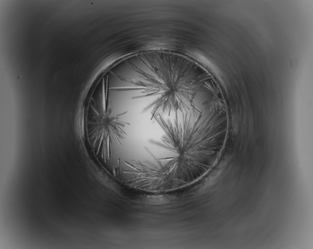 X0000099931227200805301152