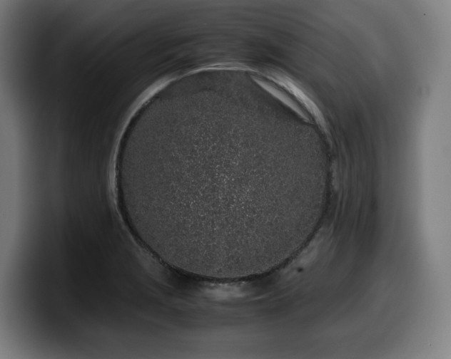 X0000099931229200805301152