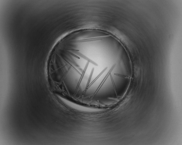 X0000099931230200805301152