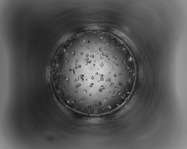 X0000099931233200805301152