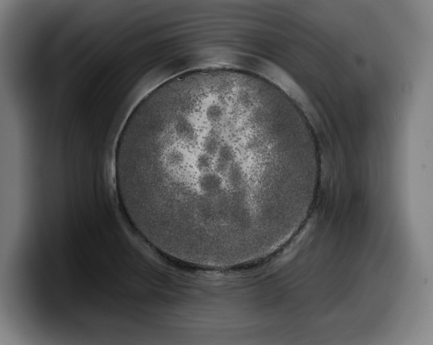 X0000099931234200805301152