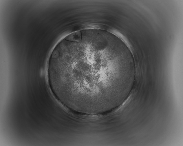 X0000099931235200805301152